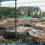 img-3475.jpg