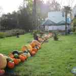 img-0321.jpg