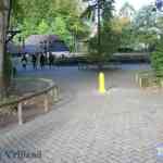 img-0323.jpg