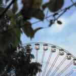img-0388.jpg