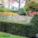 img-0393.jpg