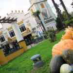 img-0415.jpg