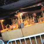img-0420.jpg