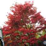 img-0498.jpg