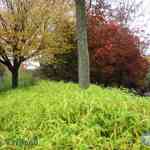 img-0509.jpg