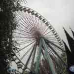 img-0513.jpg