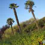 img-0571.jpg