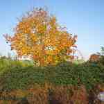 img-0576.jpg