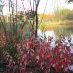 img-0581.jpg