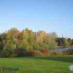img-0599.jpg