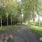 img-0606.jpg