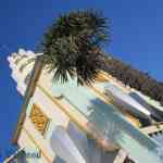img-0616.jpg