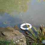 img-0642.jpg