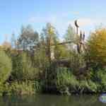 img-0643.jpg