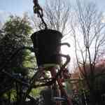 img-0729.jpg