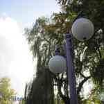 img-0737.jpg