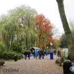 img-0784.jpg
