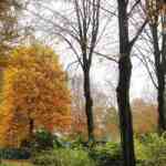 img-0785.jpg