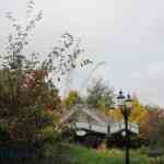 img-0786.jpg