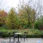 img-0787.jpg