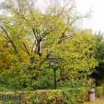 img-0790.jpg