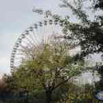 img-0791.jpg