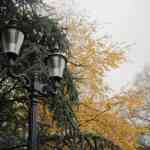 img-0792.jpg