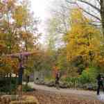 img-0798.jpg