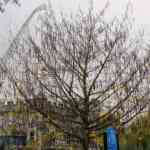 img-0800.jpg