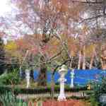 img-0809.jpg