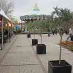 img-0810.jpg