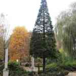img-0822.jpg