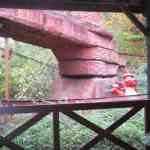 img-0823.jpg