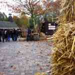 img-0827.jpg