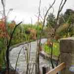 img-0831.jpg