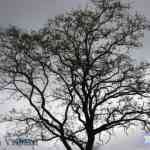 img-0837.jpg