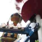 img-0073.jpg