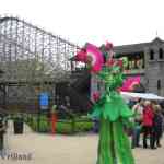 img-0143.jpg
