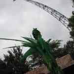 img-0145.jpg