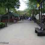 img-0150.jpg