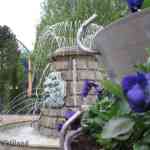 img-0183.jpg