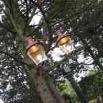 img-0187.jpg