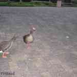 img-0230.jpg