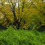 img-0070.jpg