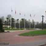 img-0818.jpg