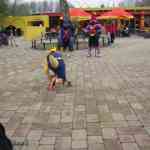 img-0875.jpg
