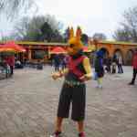 img-0881.jpg