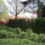 img-0935.jpg