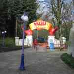 img-0938.jpg