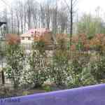 img-0939.jpg